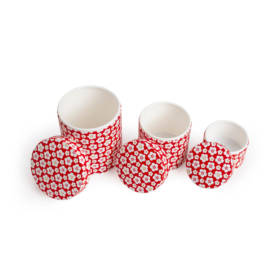 Colorful Set of Containers with Cherry Blossom Design