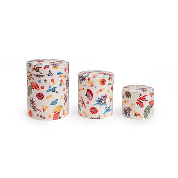 Colorful Set of Containers with Japanese Design