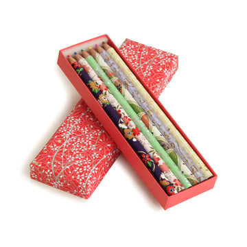 Colored Pencil Box with Multiple Designs